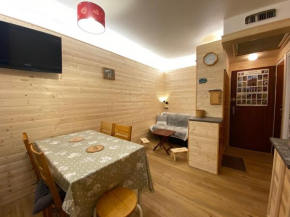 Studio rénové avec balcon, proche commerces et pistes, 4 pers, Fontcouverte-la-Toussuire - FR-1-417-147